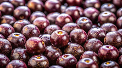 3 Ice Cream Recipes with Acai Flavoring for your Customers