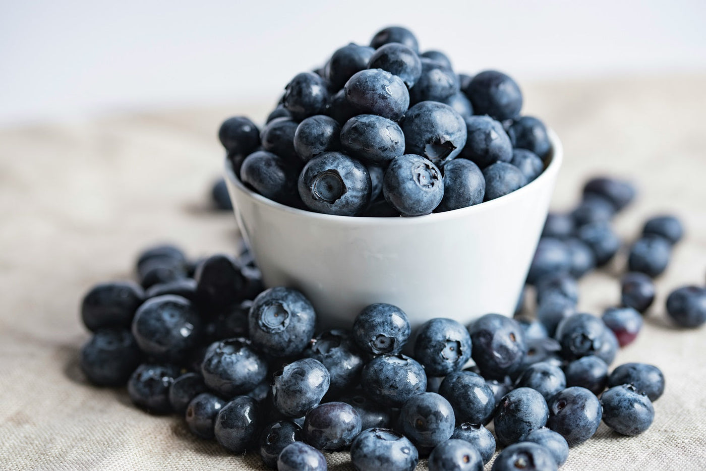 Exploring Unique Blueberry Flavoring Recipes for Your Business